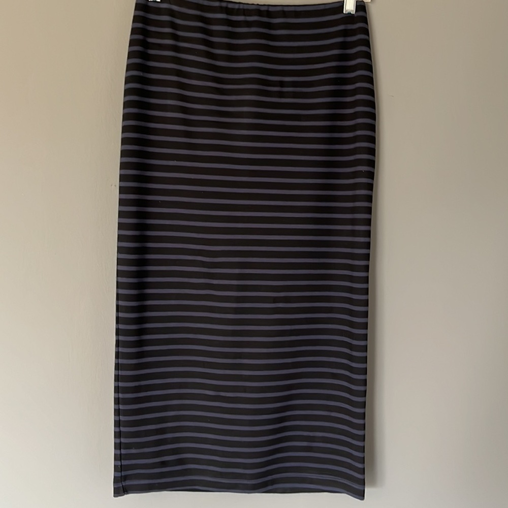 Sanctuary skirt